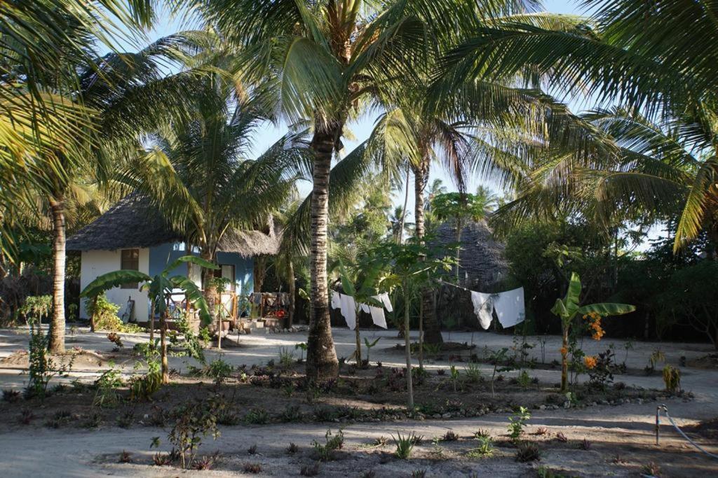 Bed and Breakfast Dreams Of Mapacha Michamvi Kae Екстер'єр фото